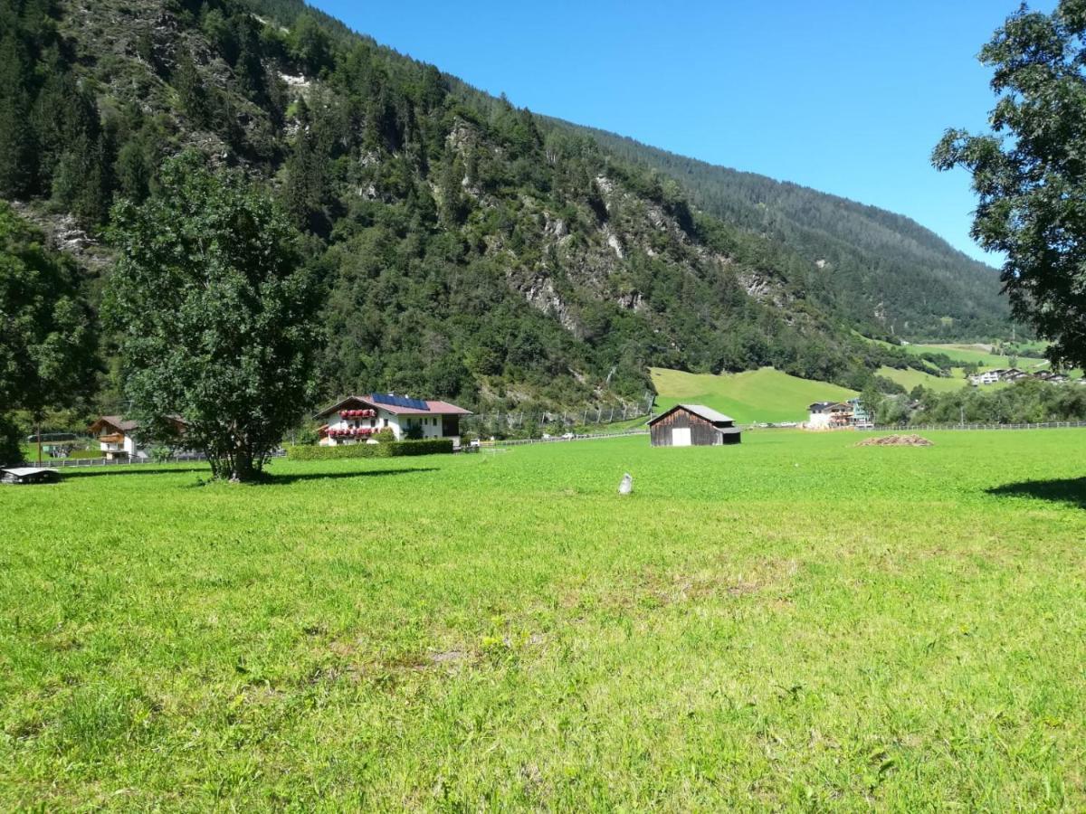 Apartment Schlatterhof Neustift im Stubaital
